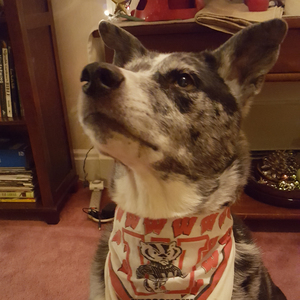 Fundraising Page: Leslie Parsels